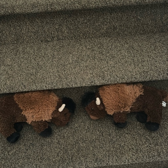 Pair of stuffed buffalo - Picture 2 of 2